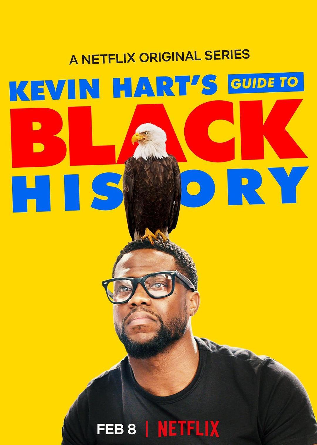 《凯文·哈特：黑人历史指南》百度云网盘下载  
