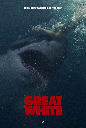 《大浪白鲨》百度云网盘下载.1080P下载.英语中字  