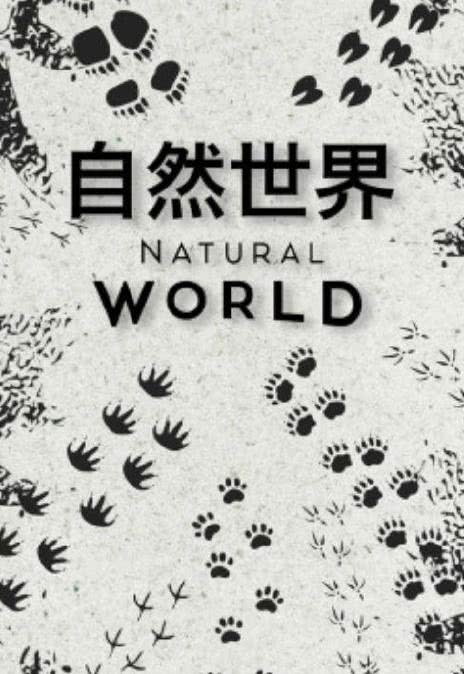 《自然世界 第一季》百度云网盘下载.阿里云盘.英语中字.(2019)