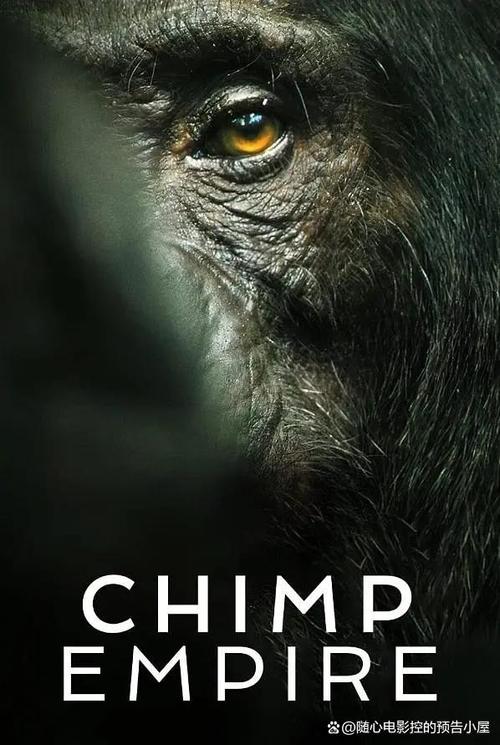 《黑猩猩帝国》百度云网盘下载.阿里云盘.英语中字.(2023)