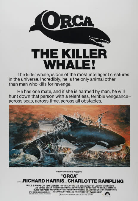 《杀人鲸》百度云网盘下载.阿里云盘.英语中字.(1977)