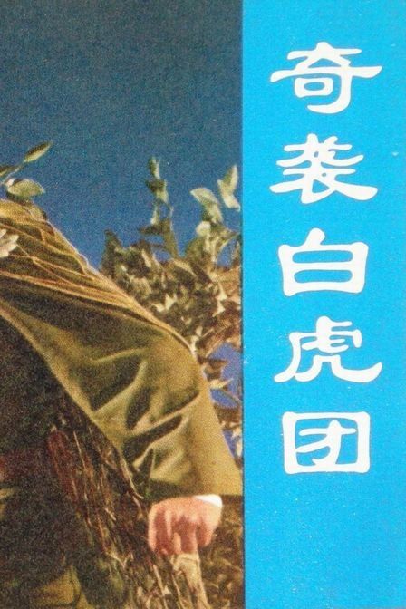 《奇袭白虎团》百度云网盘下载.BD1080P.国语中字.(1972)