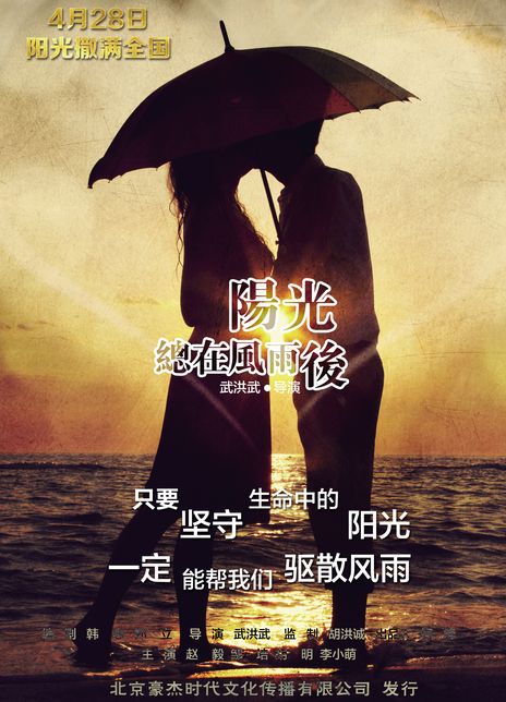 《阳光总在风雨后》百度云网盘下载線上看[MP4/mkv]超清[720P/HD1080P]分享（2015）