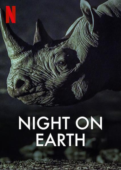 [地球的夜晚][2020][纪录片][英国]