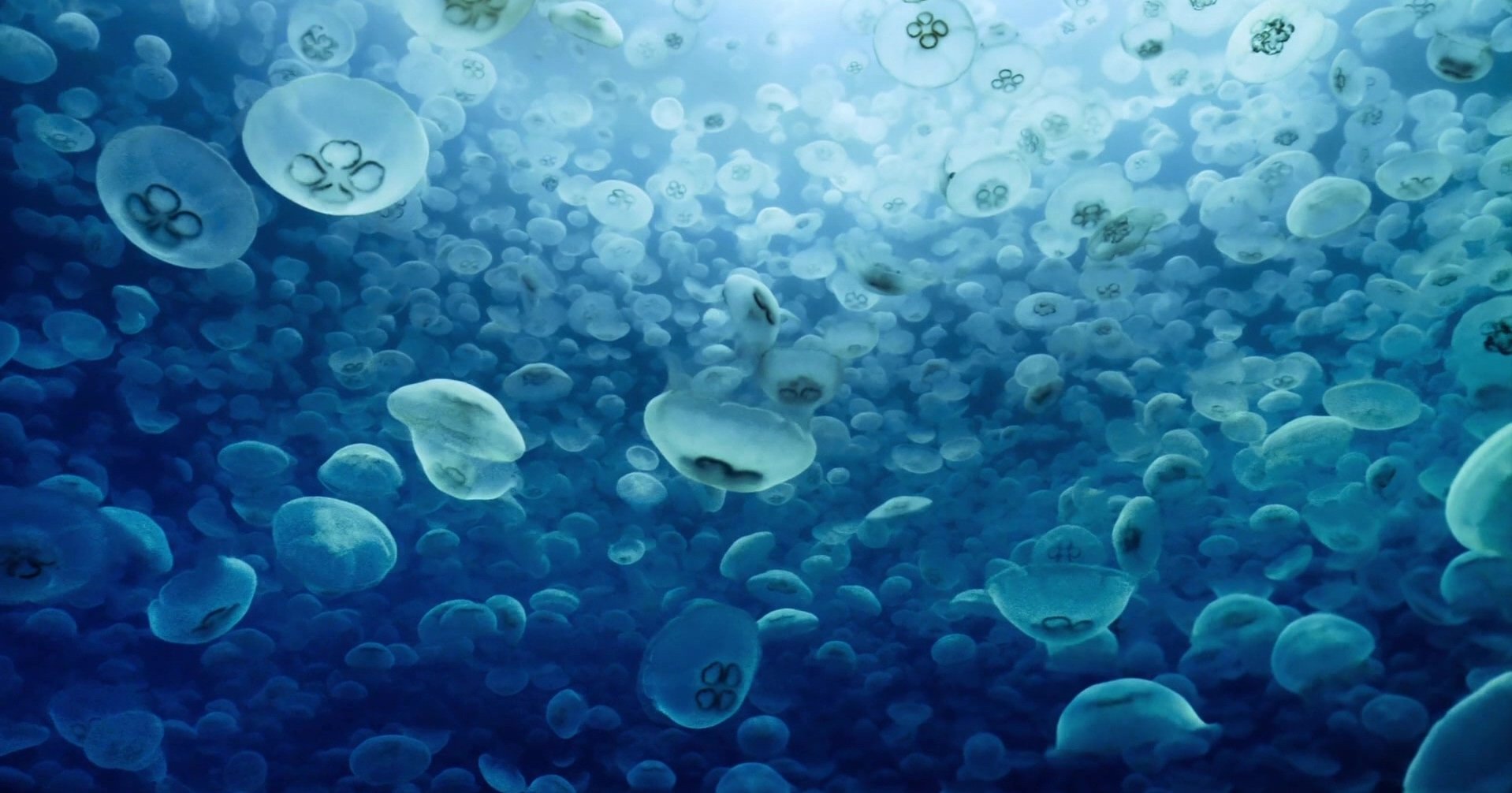 阿里云盘WebDAV共享，支持本地挂载、同步