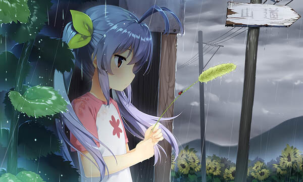 群晖NAS运行或更新软件时连接的网站列表