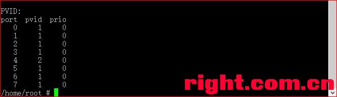 Padavan（老毛子） 最简单臂路由组网 VLAN 设置 路由器 第3张