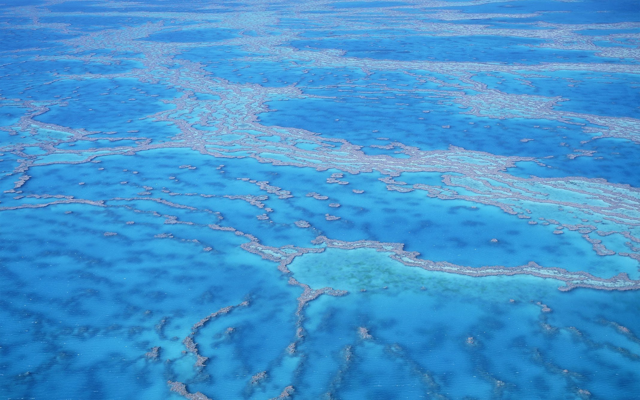 群辉DSM添加DDNS教程