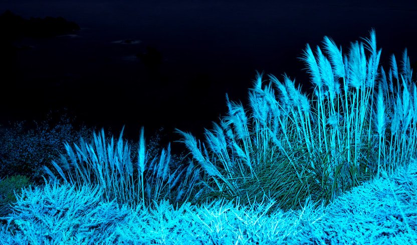 Docker BILIBILI-HELPER